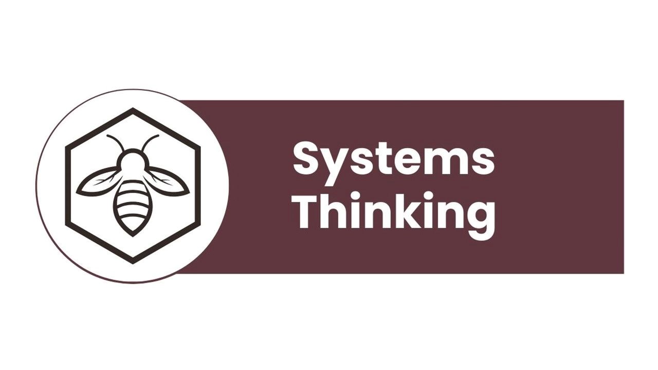 Systems Thinking